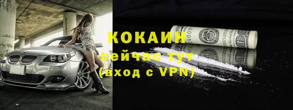 ГАЛЛЮЦИНОГЕННЫЕ ГРИБЫ Арсеньев