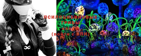 ГАЛЛЮЦИНОГЕННЫЕ ГРИБЫ Арсеньев