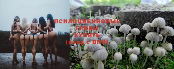 MDMA Premium VHQ Пересвет