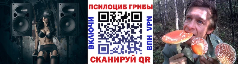 Галлюциногенные грибы мицелий  MEGA как зайти  Сосновоборск 